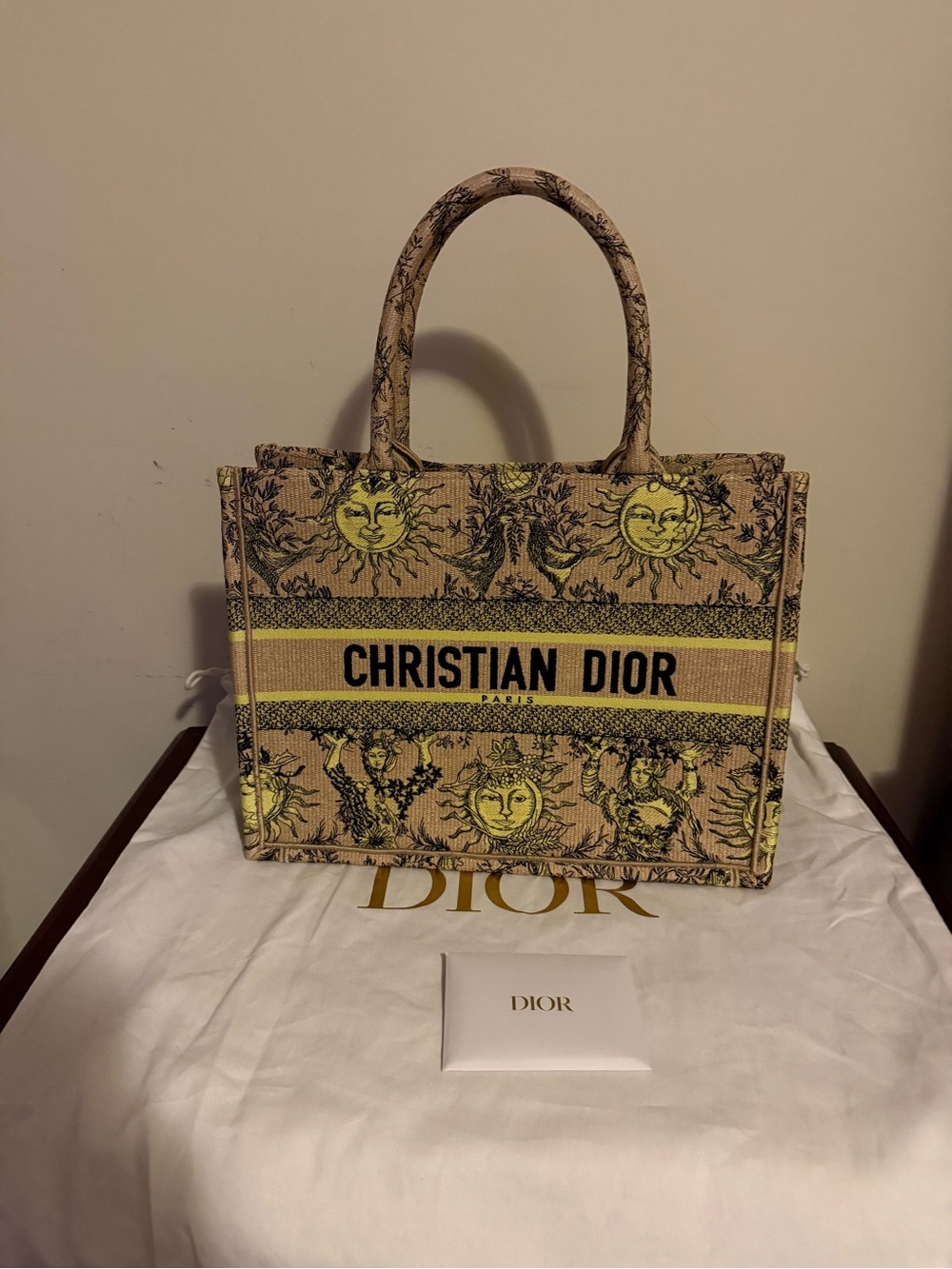 Dior Toile de Jouy Book Tote Medium